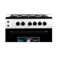 Плита газова ARTEL  APETITO 50 02-G GREY