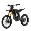 Електробайк ARCTIC LEOPARD CLOUDED XE PRO S (gold)