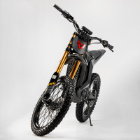 Електробайк ARCTIC LEOPARD CLOUDED XE PRO S (gold)