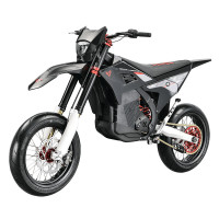 Електробайк ARCTIC LEOPARD CHEETAH E-XE 880 (ENDURO)