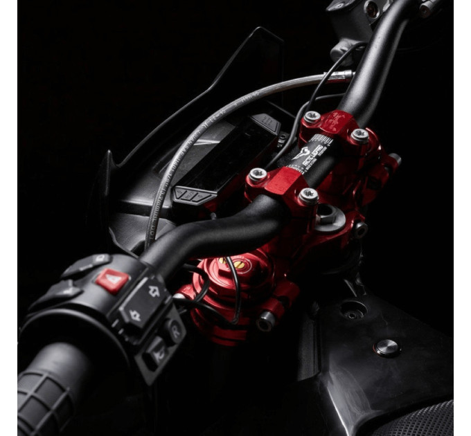 Електробайк ARCTIC LEOPARD CHEETAH E-XE 880 (ENDURO)