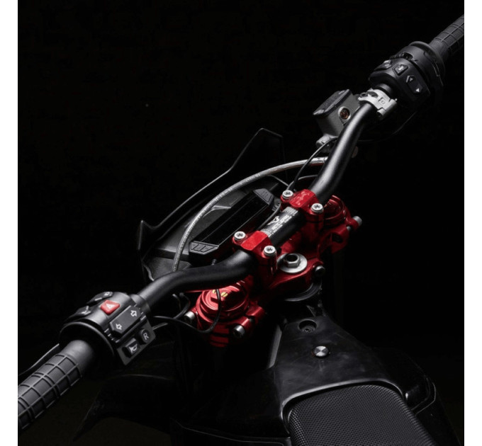 Електробайк ARCTIC LEOPARD CHEETAH E-XE 880 (ENDURO)