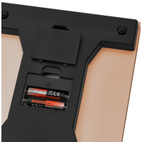 Ваги кухонні Rotex RSK15-P