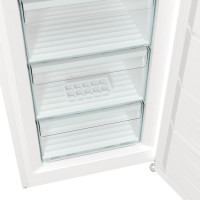 Морозильна камера Gorenje FN619EEW5